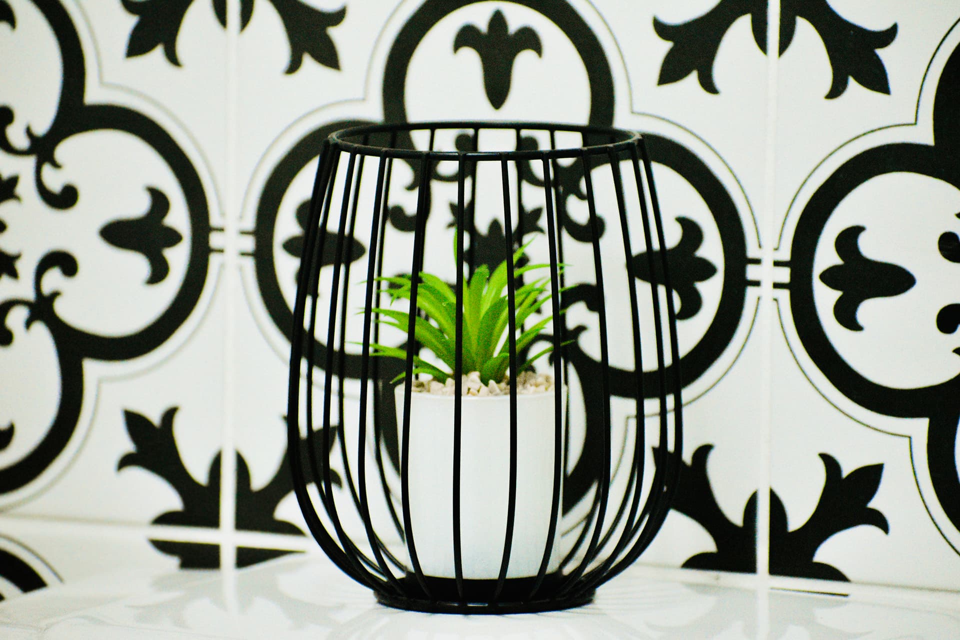 The Blackbox bathroom